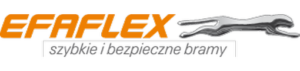 szkolenie inspektor ochrony danych logo efaflex